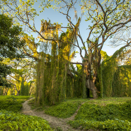 Parque Metropolitano (500 m)